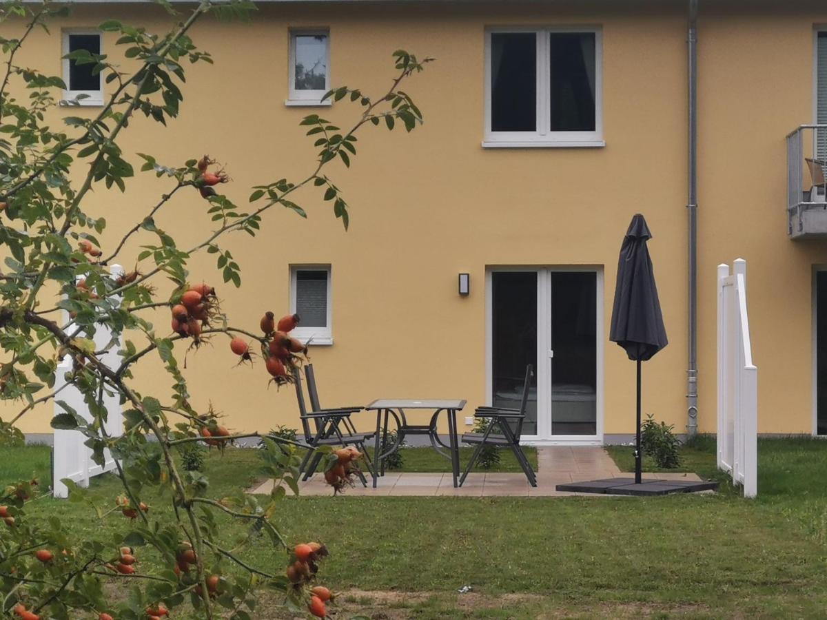 Eg Graal-müritz Im Küstenwald Graal-Mueritz
